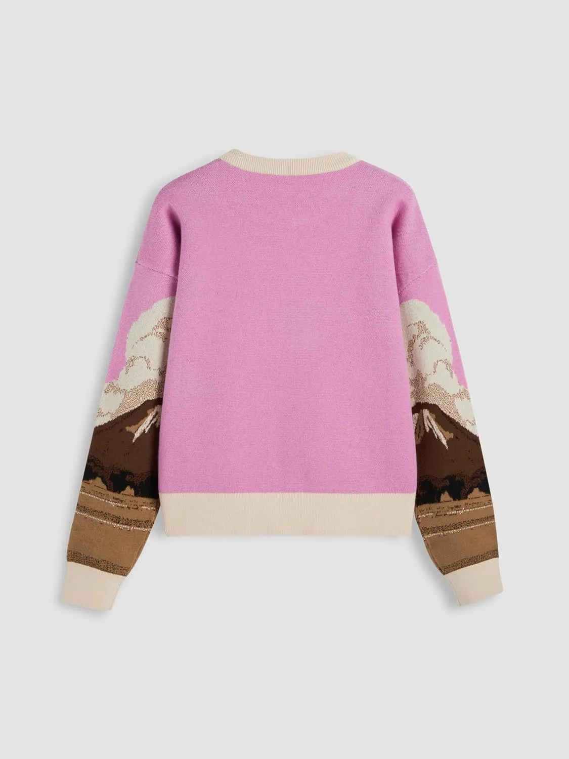 CIDER Women’s Graphic Sweaters Crew Neck Long Sleeve Cute Patterned Pullover Preppy Sweater Tops